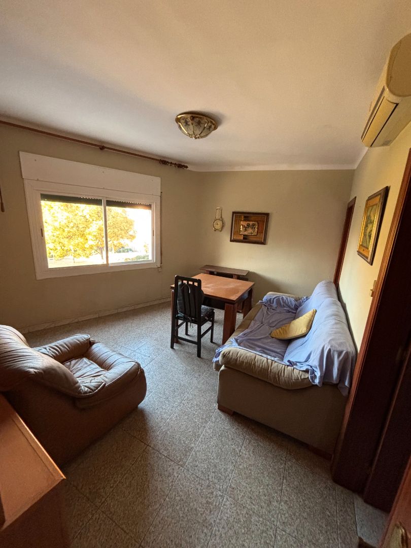 Sala d'estar de Pis en venda en Badalona amb Alarma