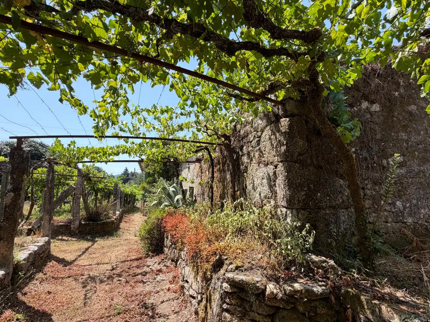 Jardí de Casa o xalet en venda en Salvaterra de Miño amb Jardí privat i Parquet