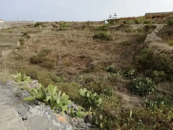 Rural land for sale in Centro, imagen 15