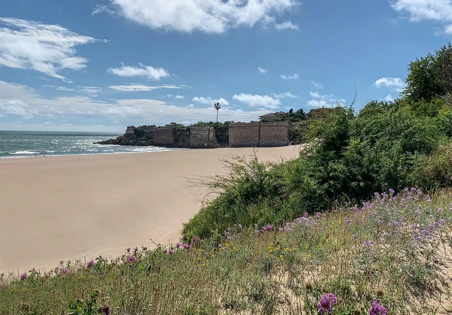 Exterior view of Houses for sale in El Juncal - Vallealto