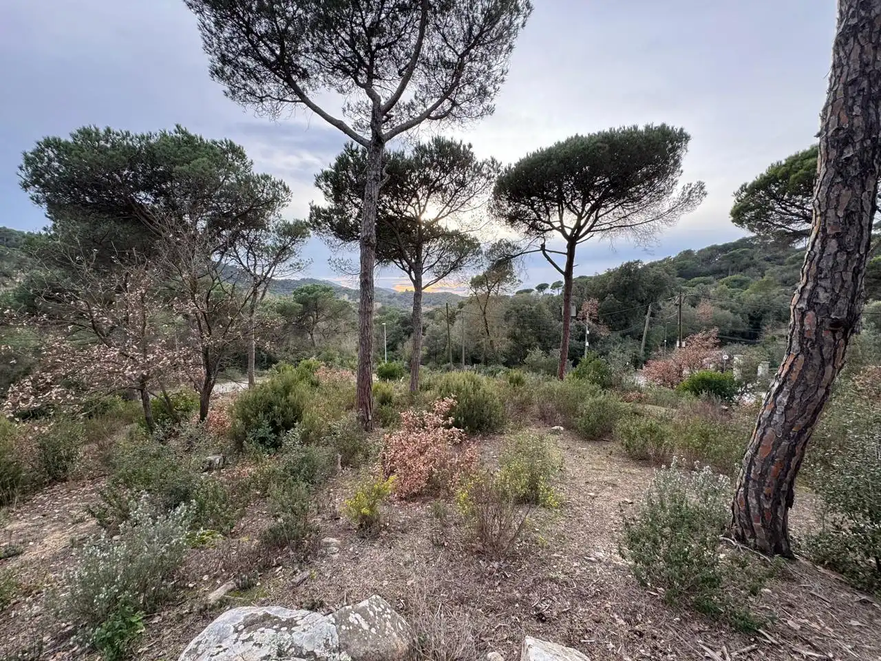 Terrenos y solares en venta en Carrer Vallès, imagen 4