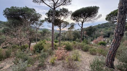 Solar edificable de 2.600mt en Vilanova del Vallés, imatge 4