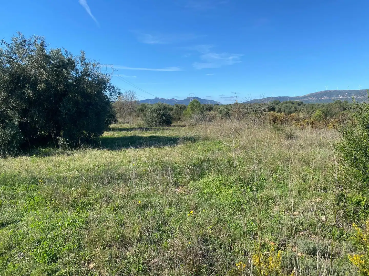 Terrain rustique à vendre à El Pont d'Armentera, imagen 14
