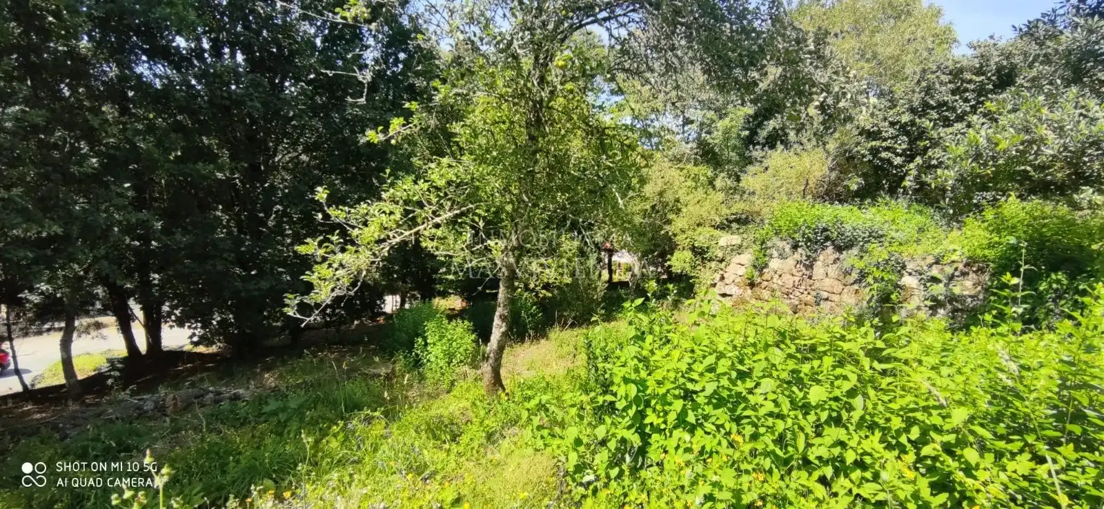 Casa con jardín en venta en Del Val, imagen 48
