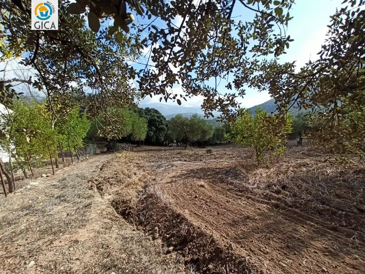 Casa rústica en venda a El Bosque, imagen 46