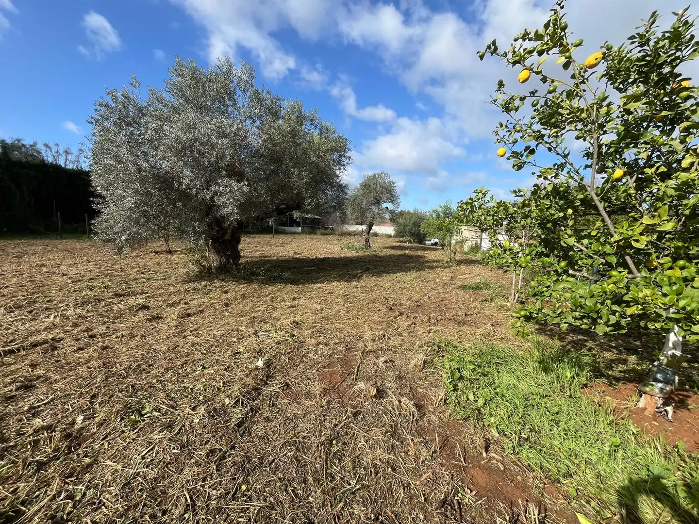 Residential for sale in Palomares del Río