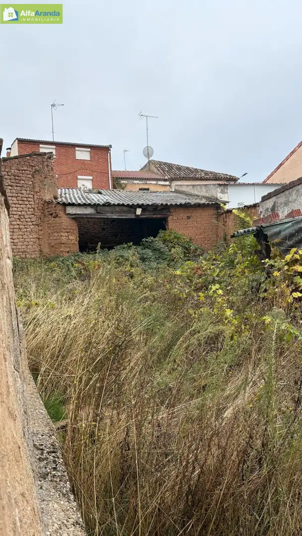 Finca rústica en venta en Aranda de Duero con Jardín privado