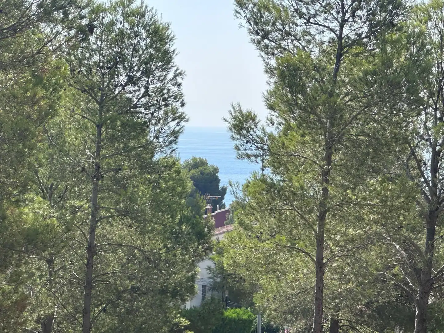 Residential land for sale in Calle Aralar, imagen 4