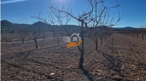 Finca Rúst. en venta en Yecla., immagine 3