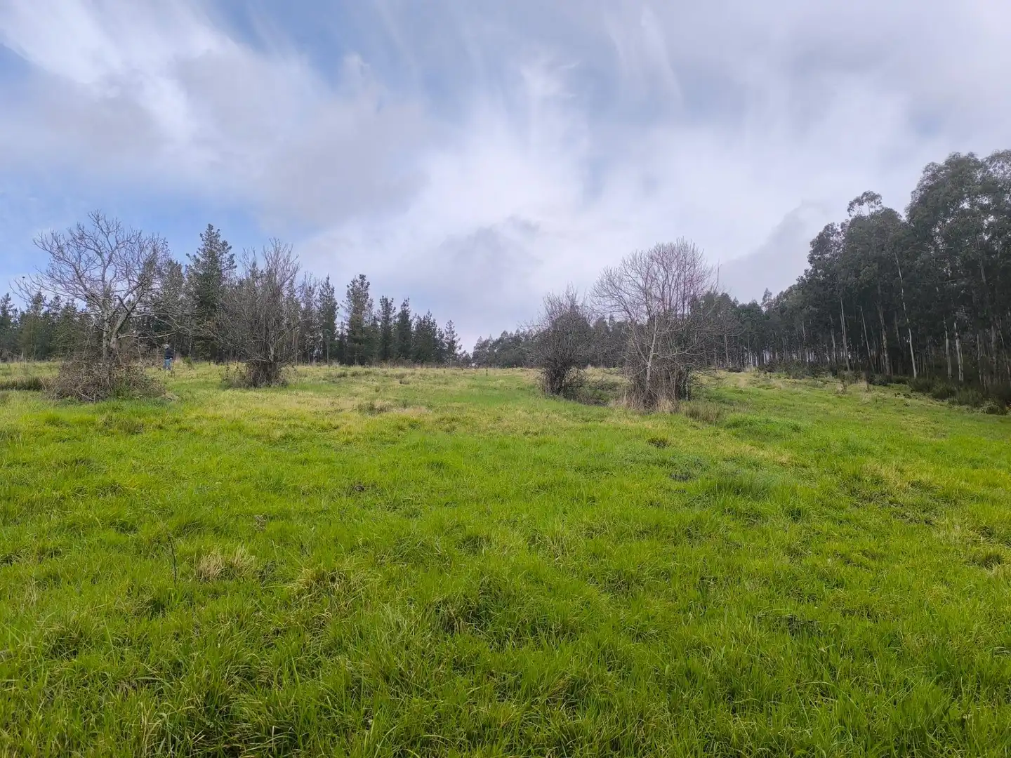 Casa o xalet en venda en Palas de Rei amb Jardí privat