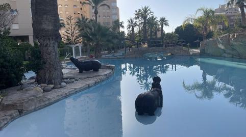 Foto 2 de Dúplex en venda a N/a, -1, Campello pueblo, Alicante