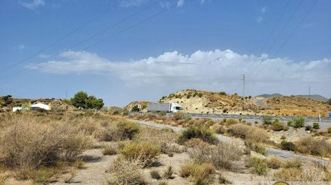 CantoriaTerreno, immagine 2