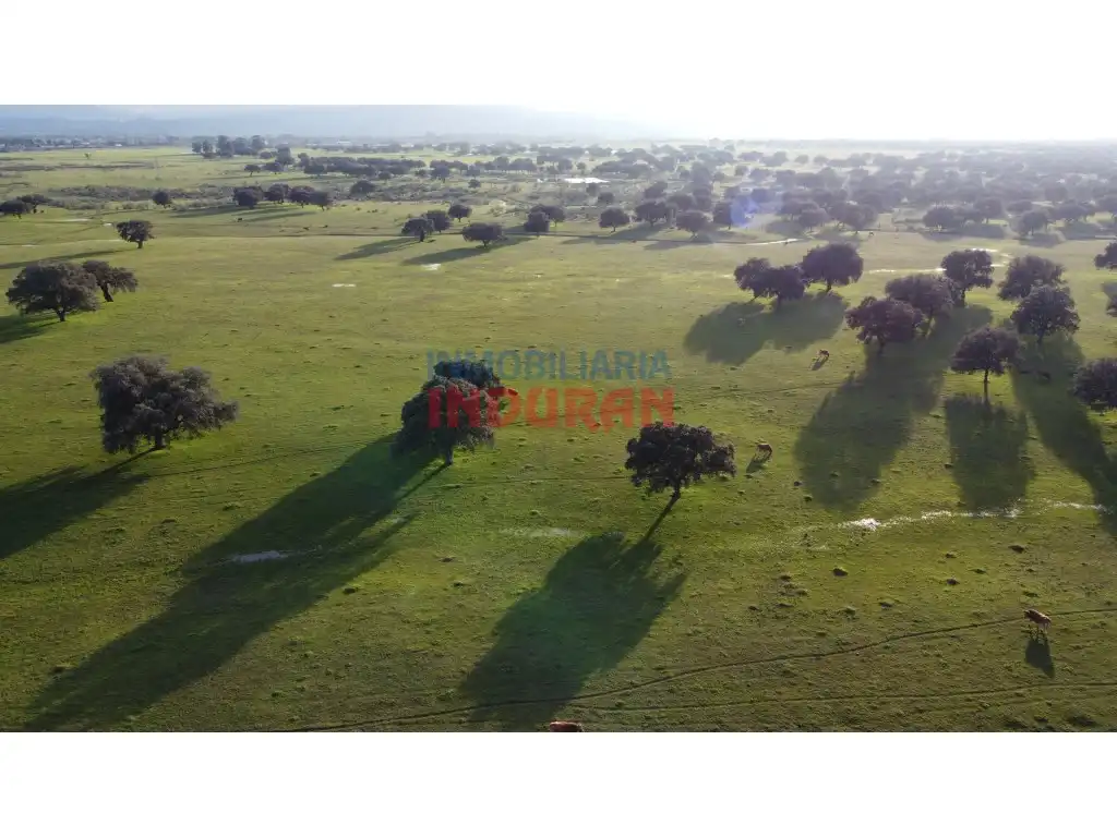 Casa o xalet en venda en Saucedilla