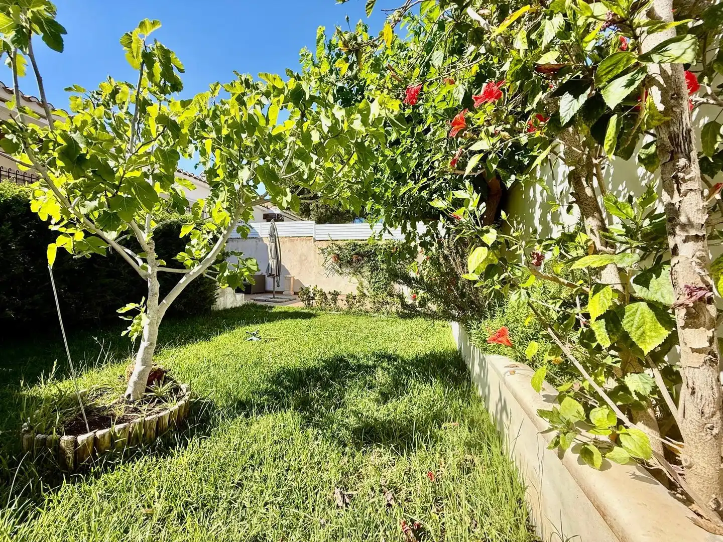 Jardí de Casa o xalet en venda en Orihuela amb Aire condicionat, Jardí privat i Terrassa