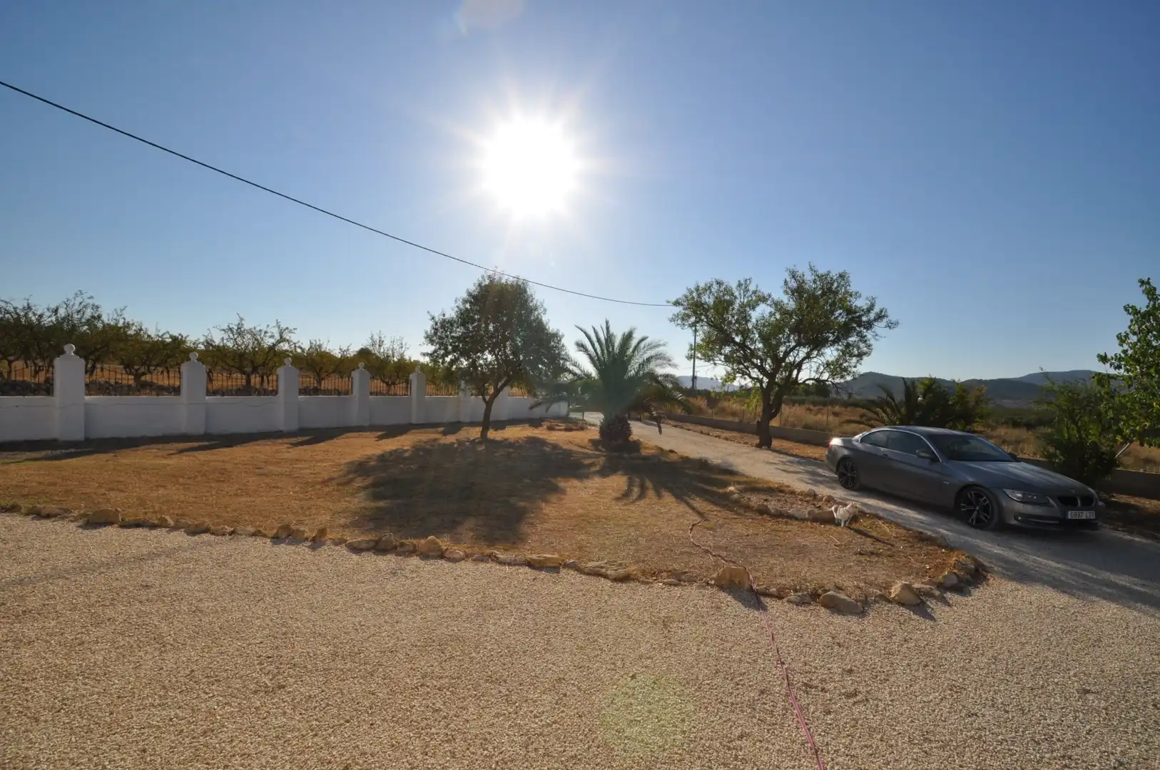 Local commercial à vendre à El Pinós / Pinoso, imagen 16