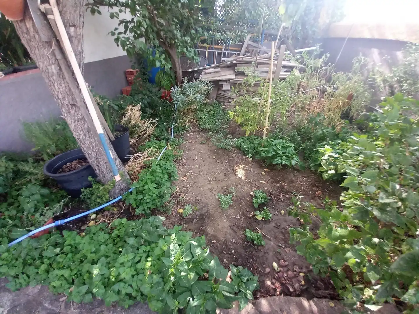 Finca rústica en venta en Ronda con Calefacción, Jardín privado y Trastero