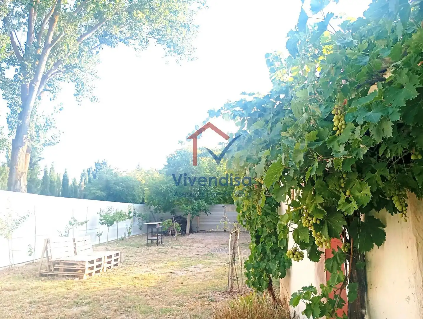 Terreny rústic en venda a Pesquera (Polígono 512), imagen 38