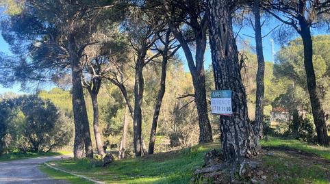 Photo 5 of Residential for sale in Cerro Muriano, Córdoba