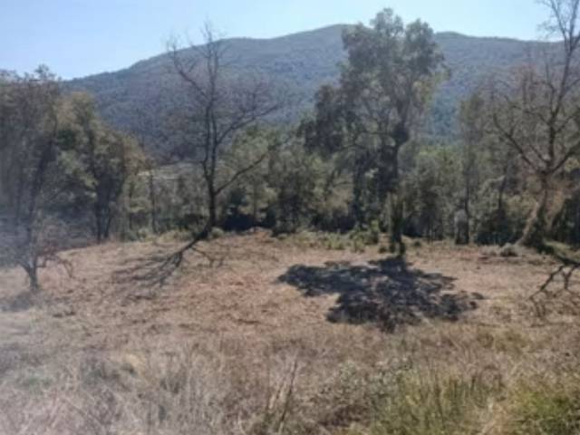 Terreno residencial en Venta en Avinguda Catalunya, 109 en Porqueres