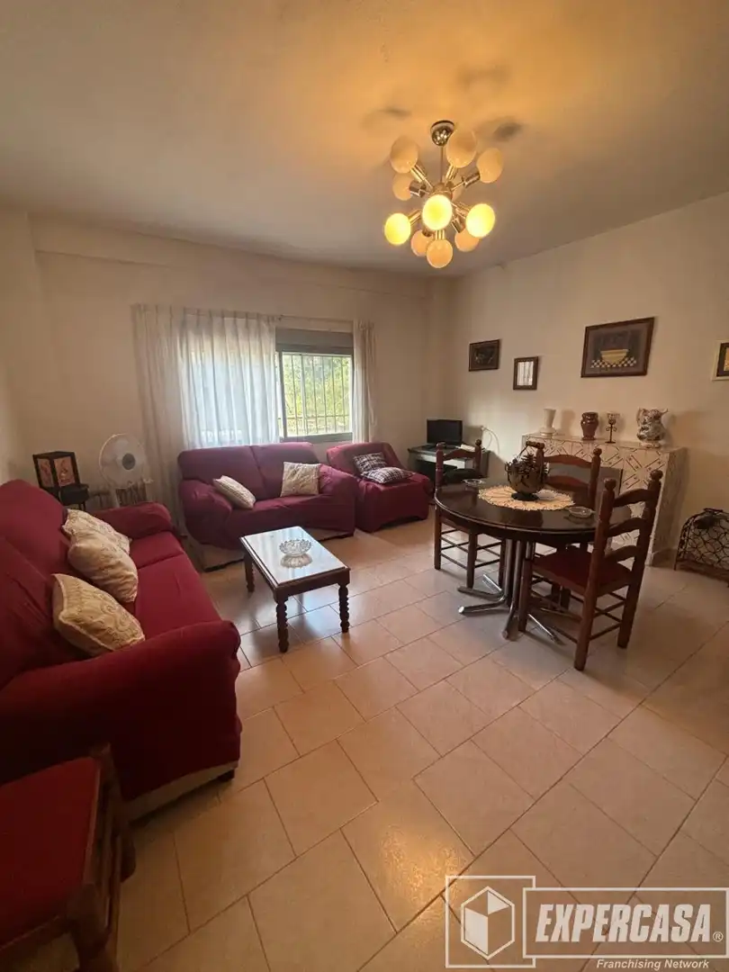 Sala de estar de Casa o chalet en venta en Torrent con Terraza, Trastero y Piscina