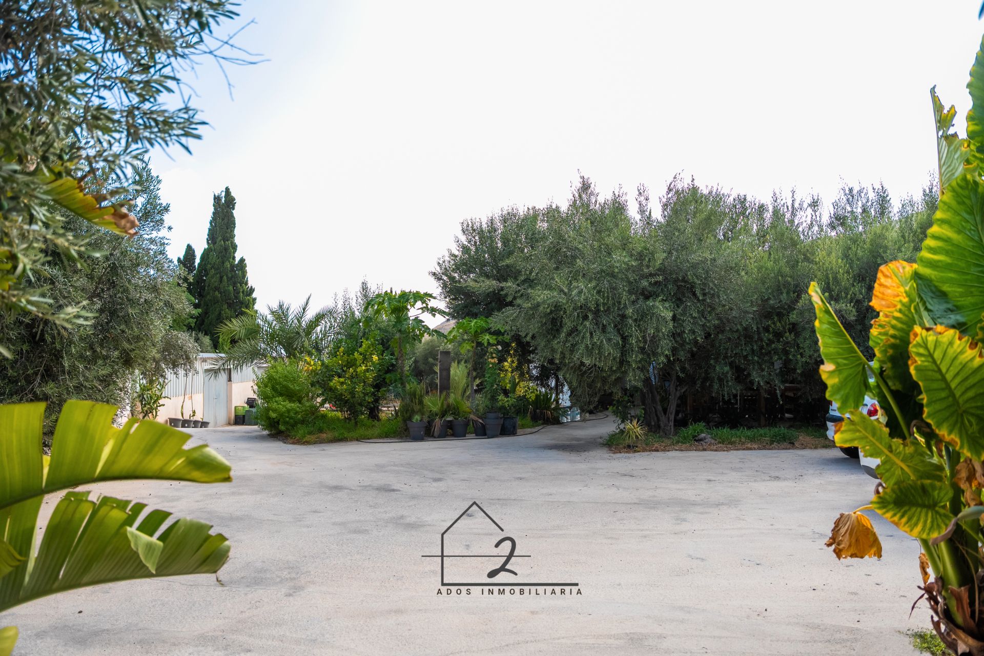 Jardí de Terreny en venda en Vícar