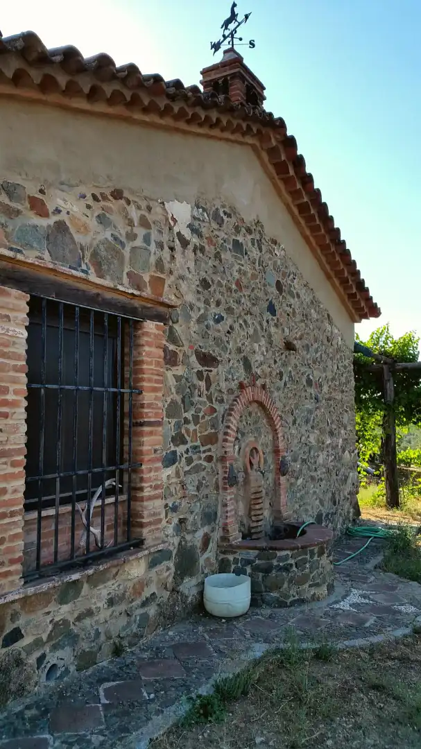 Terrenos y solares en venta en Extramuros Diseminados 5, imagen 15