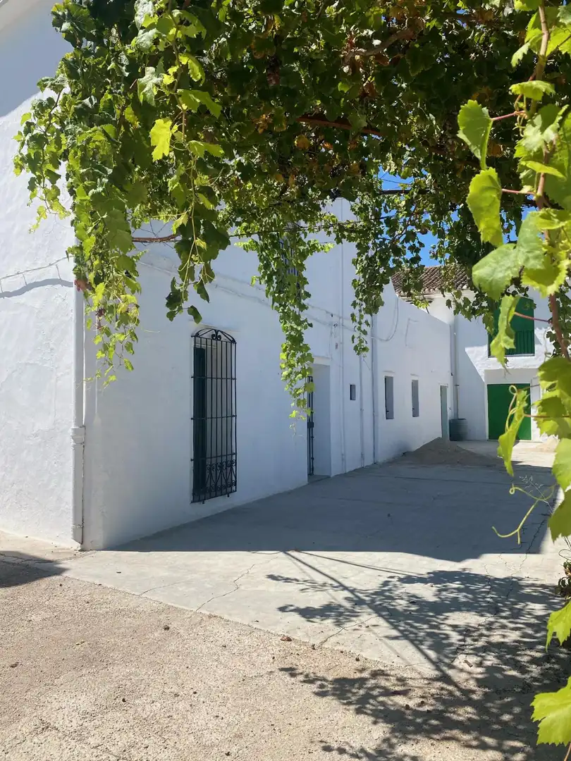 Vista exterior de Casa o chalet en venta en Beniarjó con Jardín privado, Terraza y Piscina