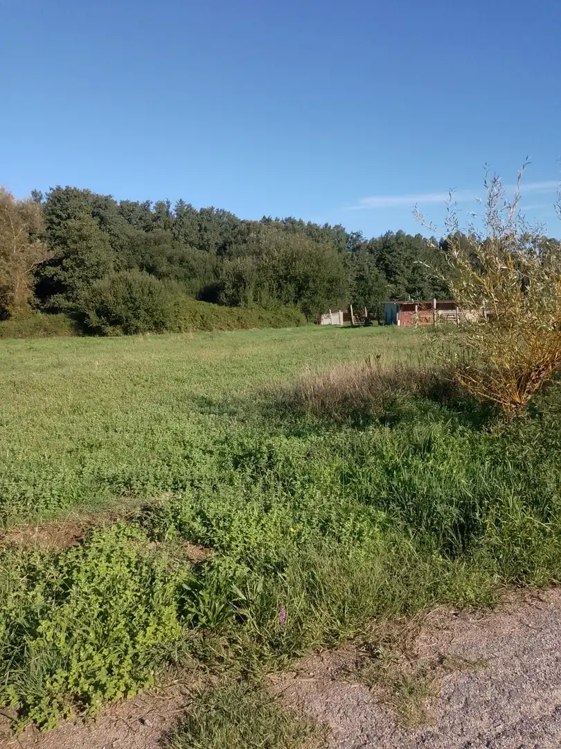 Rustikales Grundstück zum Verkauf in Meis, imagen 2