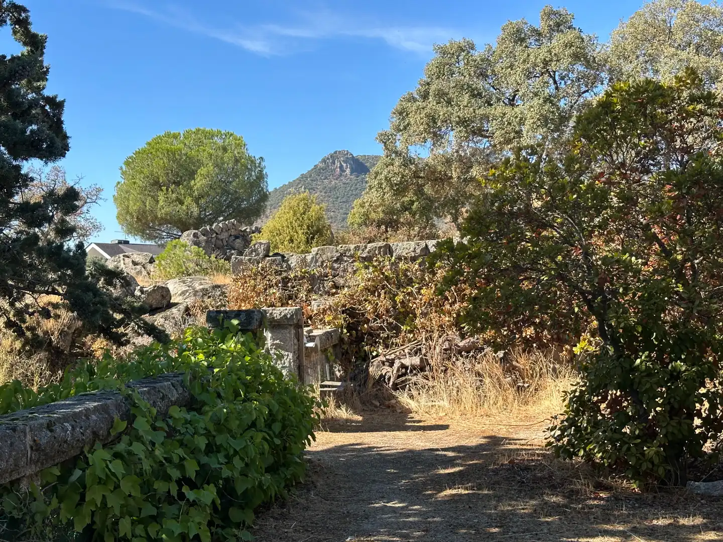 Vista exterior de Casa o xalet en venda en Hoyo de Manzanares amb Jardí privat i Balcó
