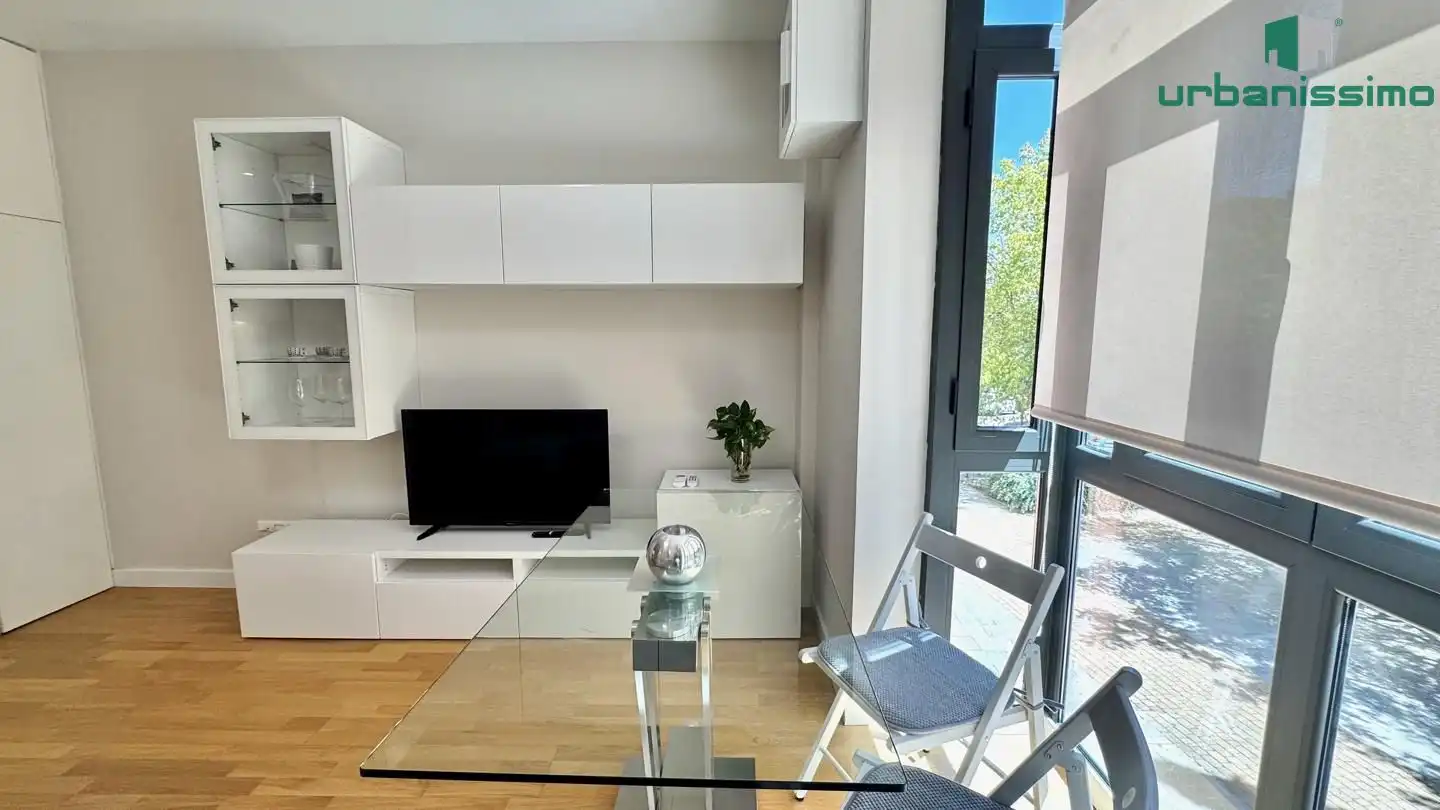 Sala d'estar de Apartament de lloguer en Madrid amb Aire condicionat, Traster i Moblat