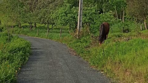 Foto 5 de Residencial en venta en Ou-0215, 101, Toén, Ourense