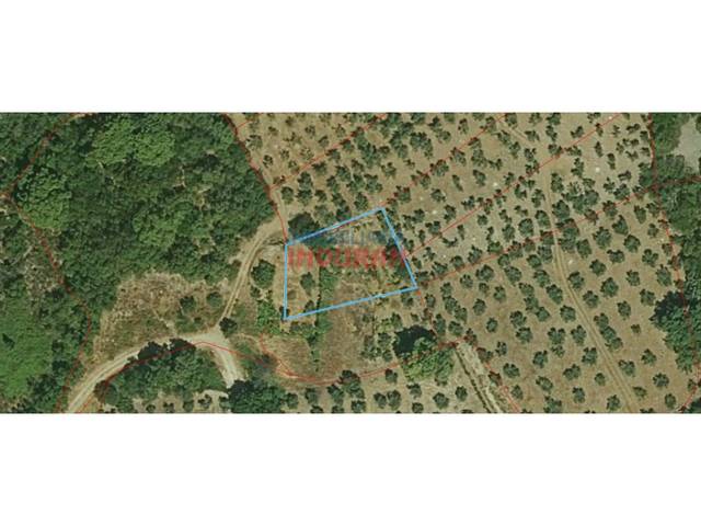 Casa-chalet en Venta en Castañar de Ibor