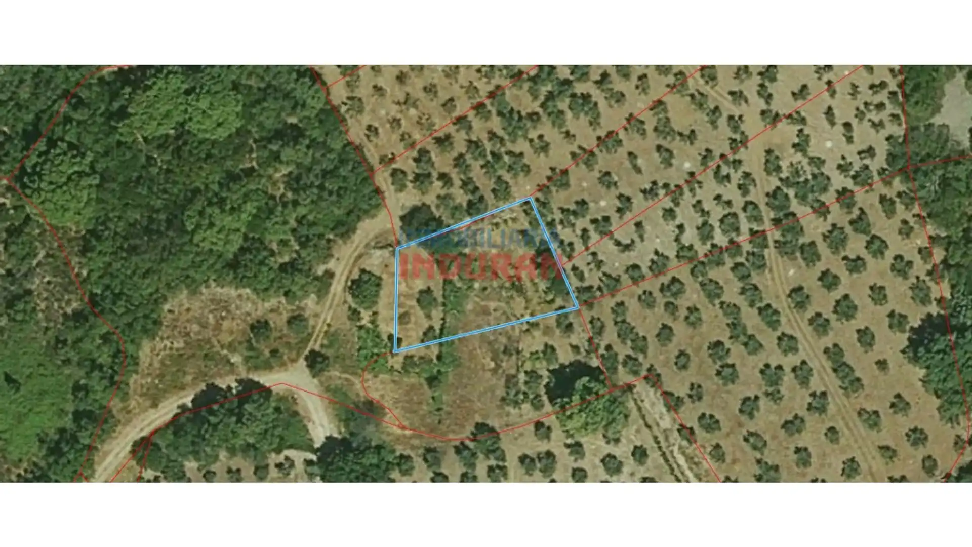 Finca rústica en venta en Castañar de Ibor