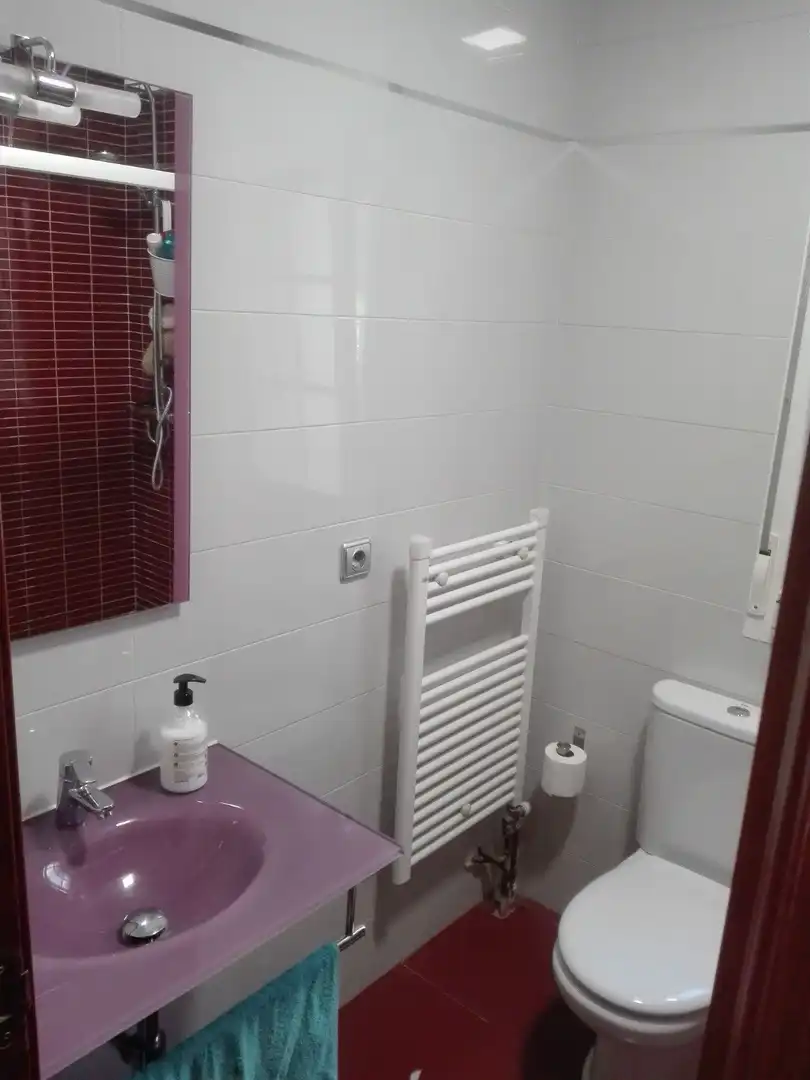 Baño de Casa o chalet en venta en Simancas con Jardín privado, Parquet y Terraza