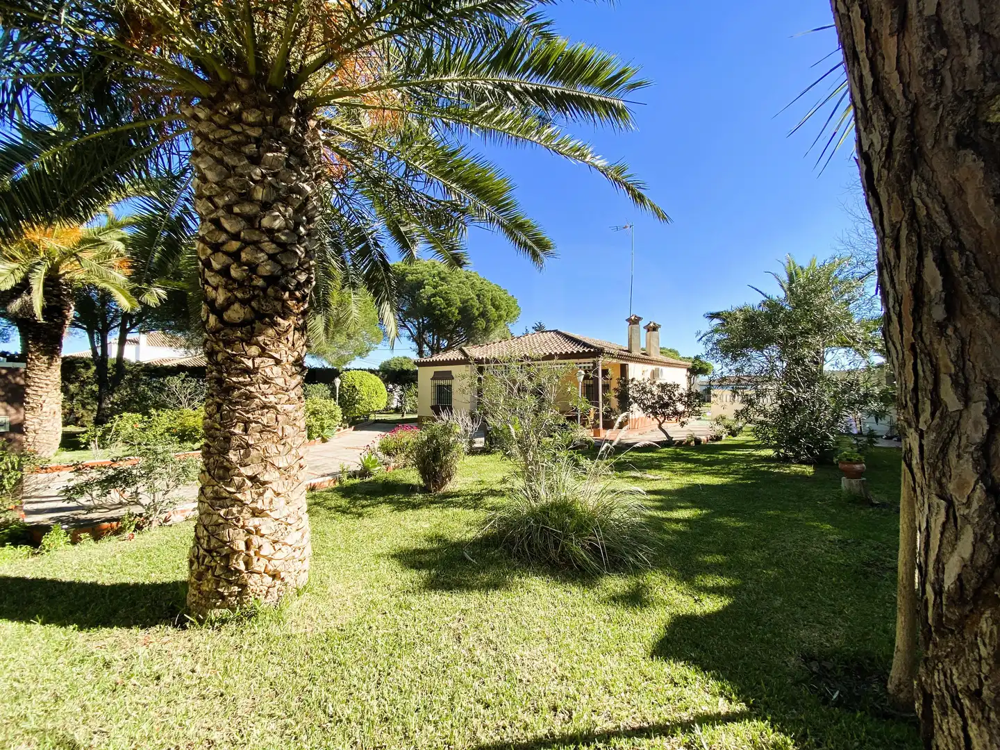 Chalet en venta en Calle Erizo 15, imagen 10