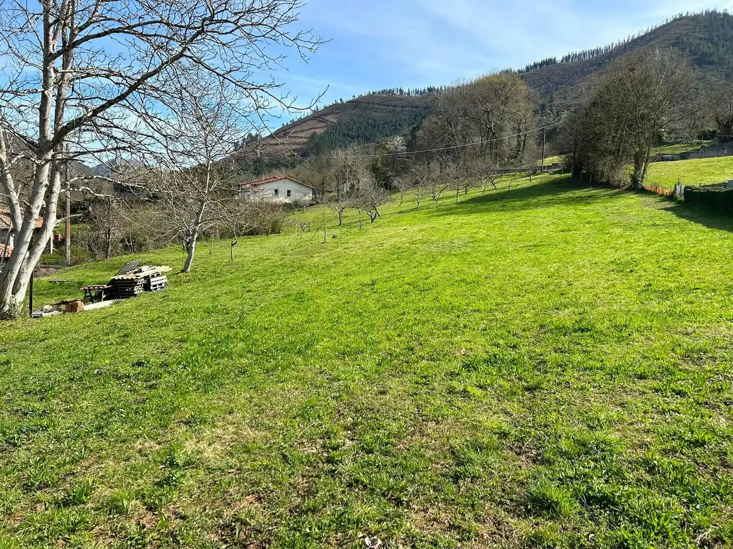 Terreni e lotti in vendita a Coviella, imagen 2