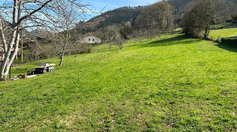 VENTA DE FINCAS EDIFICABLES AL LADO DE ARRIONDAS, imatge 2