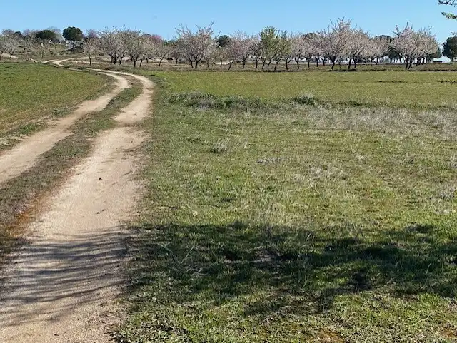 Terreno rustico in vendita a Sonseca, imagen 6