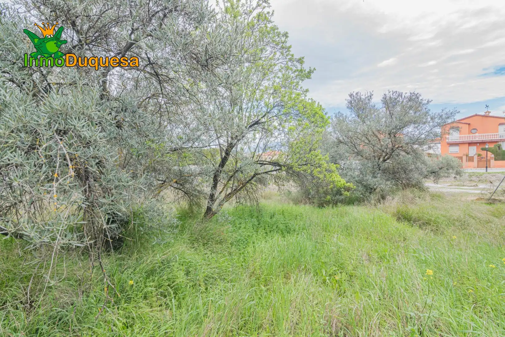 Terreni e lotti in vendita a Cúllar Vega, imagen 18