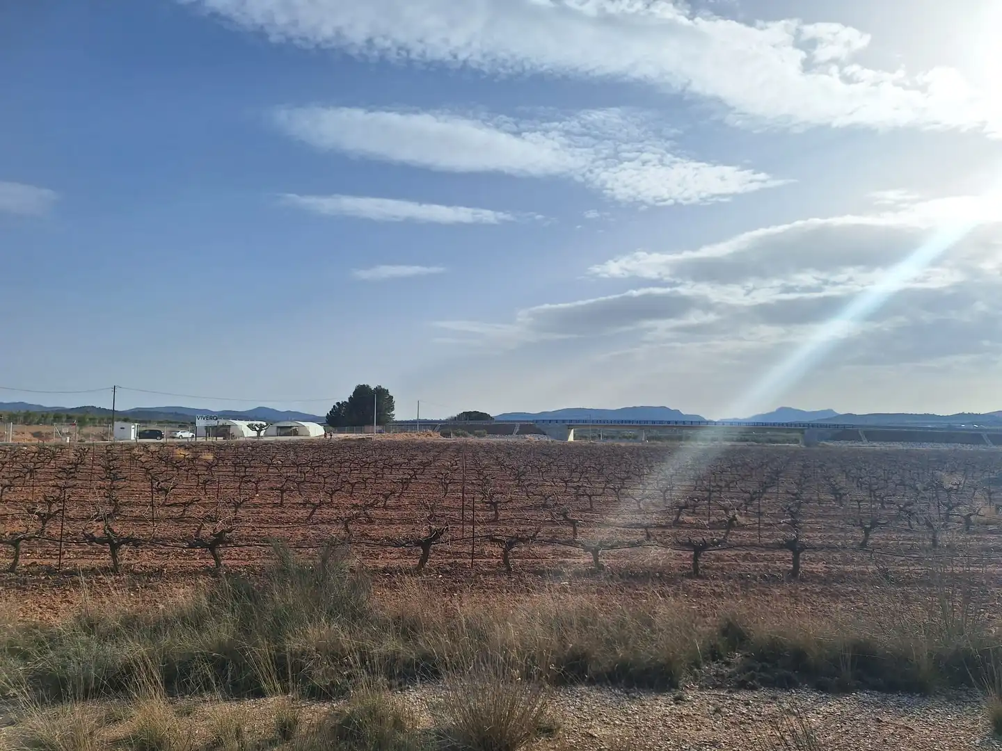 Residential land for sale in El Pinós / Pinoso, imagen 8