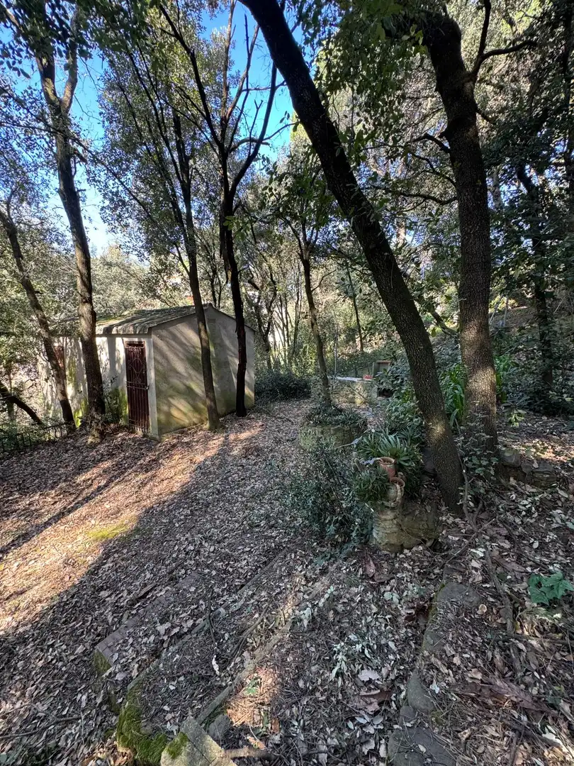 Grundstücke und Bauplätze zum Verkauf in Carrer de Lluis Millet 16, imagen 12