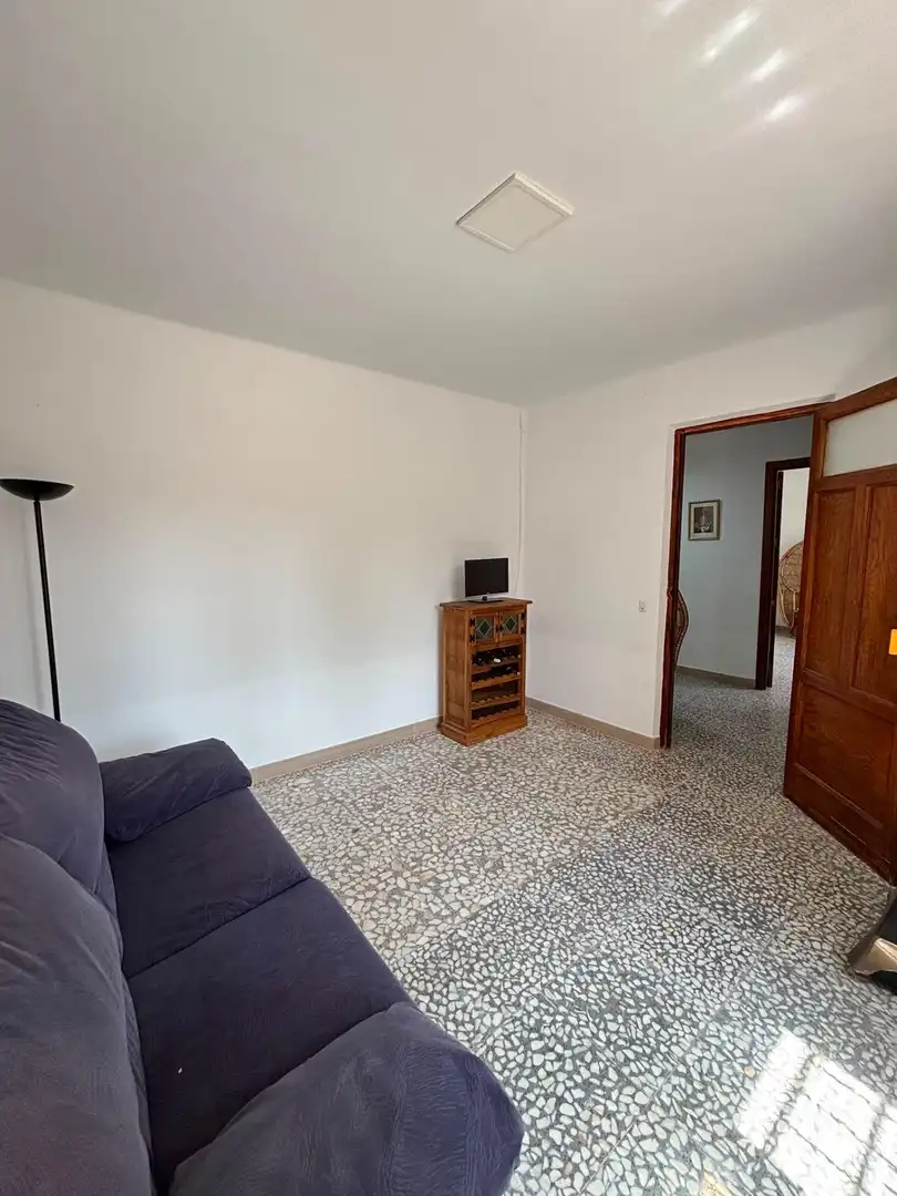 Sala de estar de Casa o chalet en venta en Montiel
