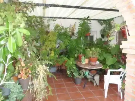 Haus zum Verkauf in Fuente Obejuna, imagen 15