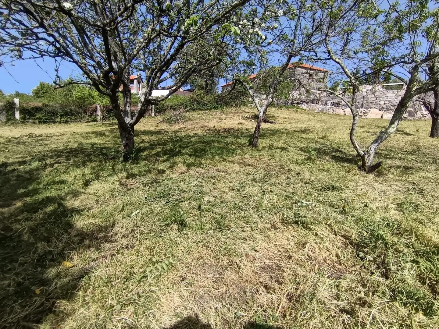 Wohnbaugrundstück zum Verkauf in Meis, imagen 3