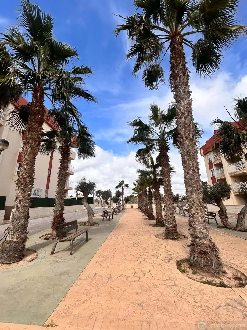 Àtic amb piscina en venda a Orihuela Costa, imagen 15