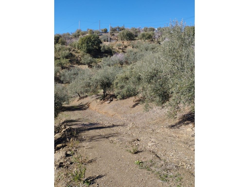 Haus oder Chalet zum verkauf