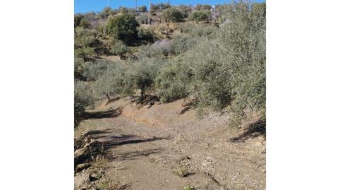 Foto 3 de Casa o xalet en venda a Riogordo, Málaga