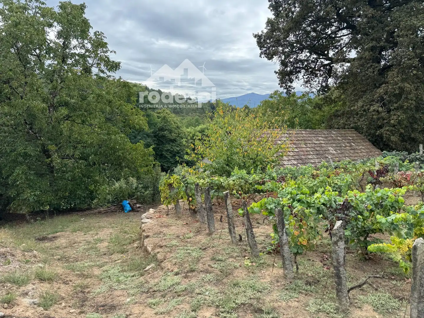 Others for sale in Cortegada, imagen 33