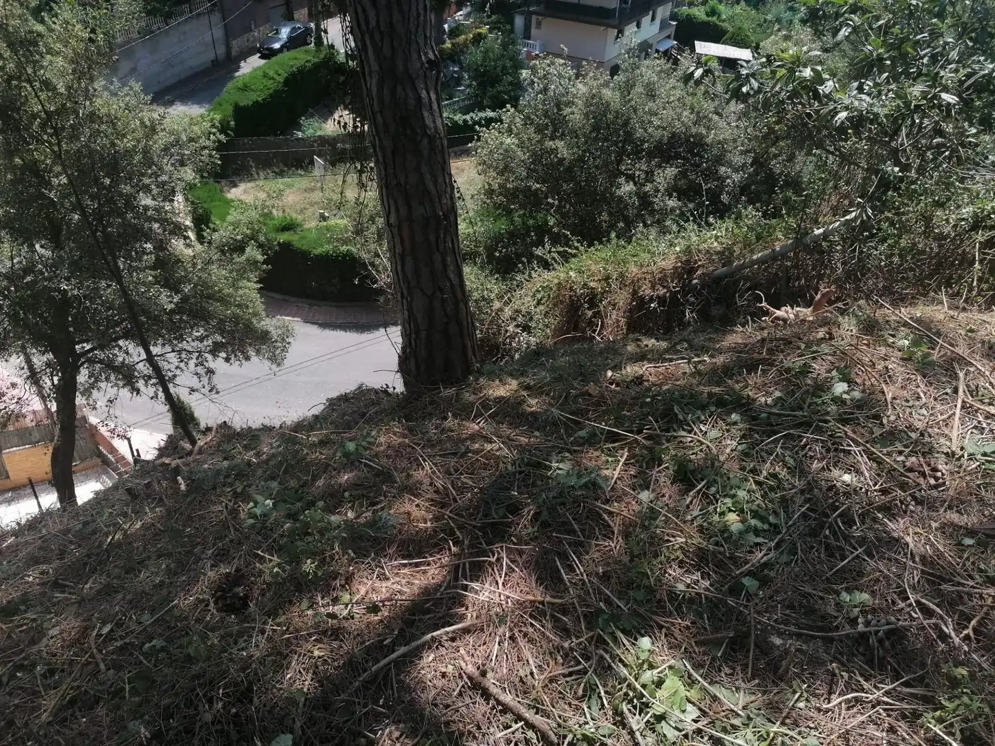 Terreno residencial en venta en Can Massuet del Far, imagen 2
