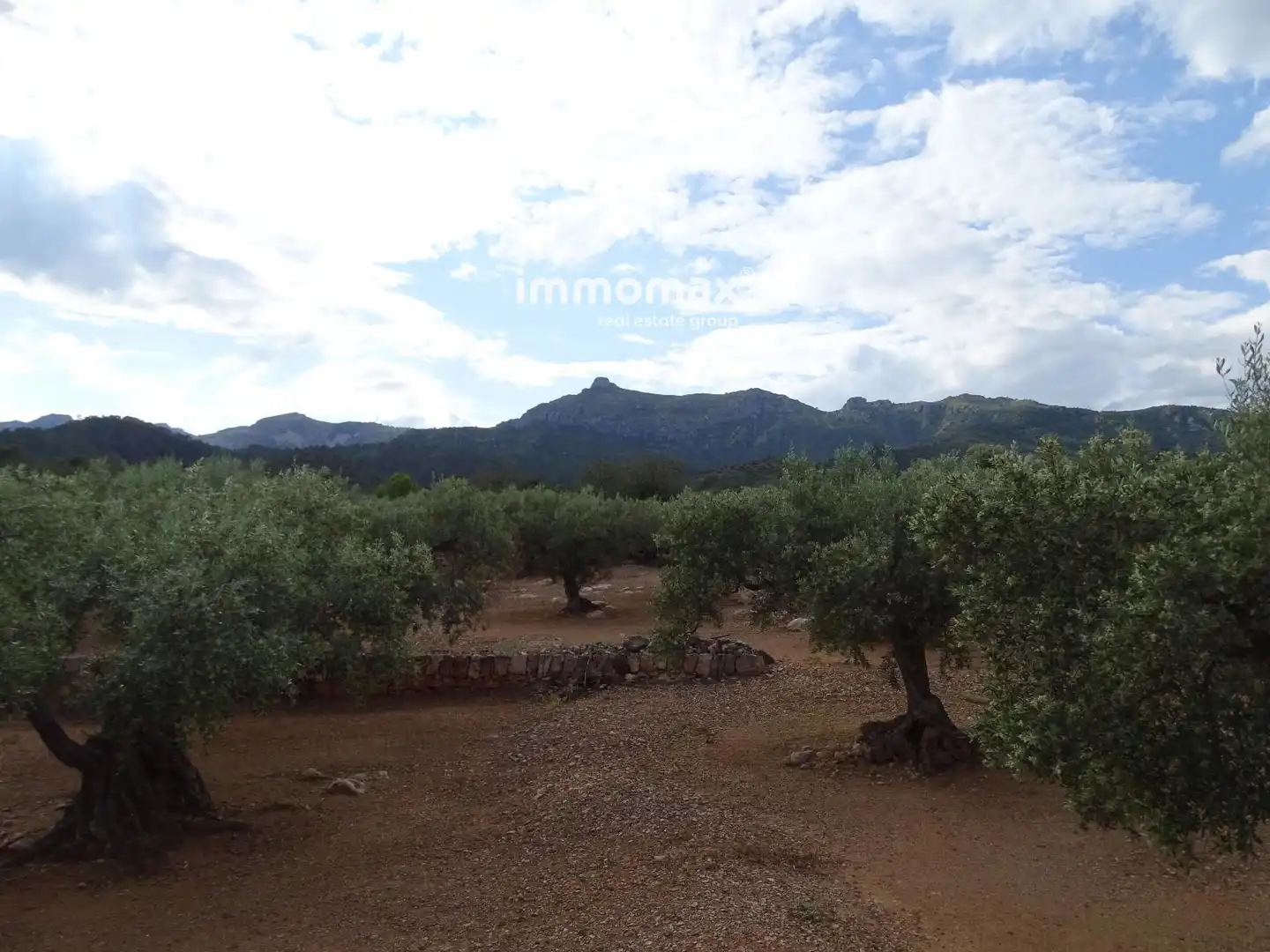 Terrain résidentiel à vendre à 14, imagen 9